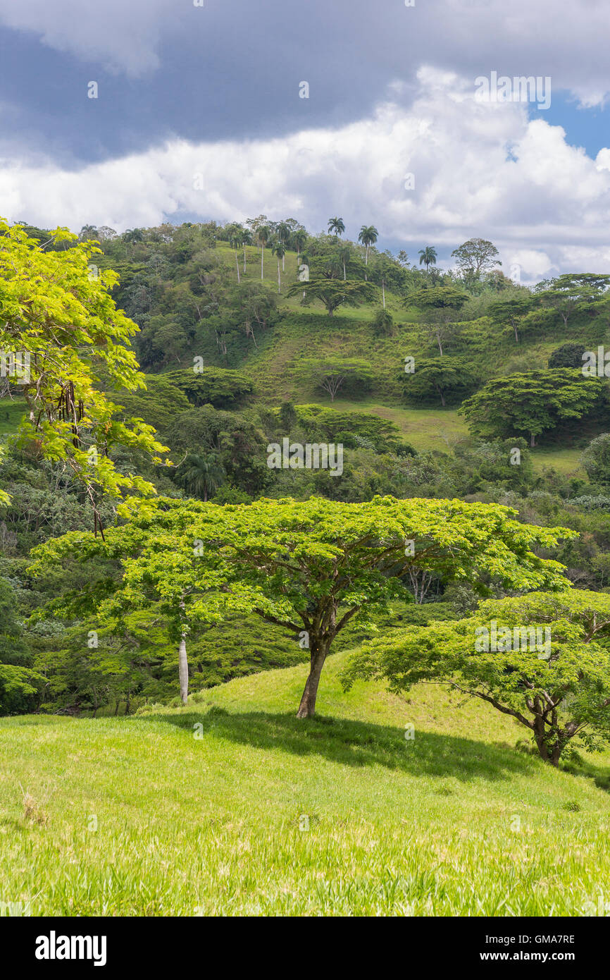 DOMINICAN REPUBLIC - Landscape in mountains, private land for grazing, northern DR, on Route 21. Stock Photo