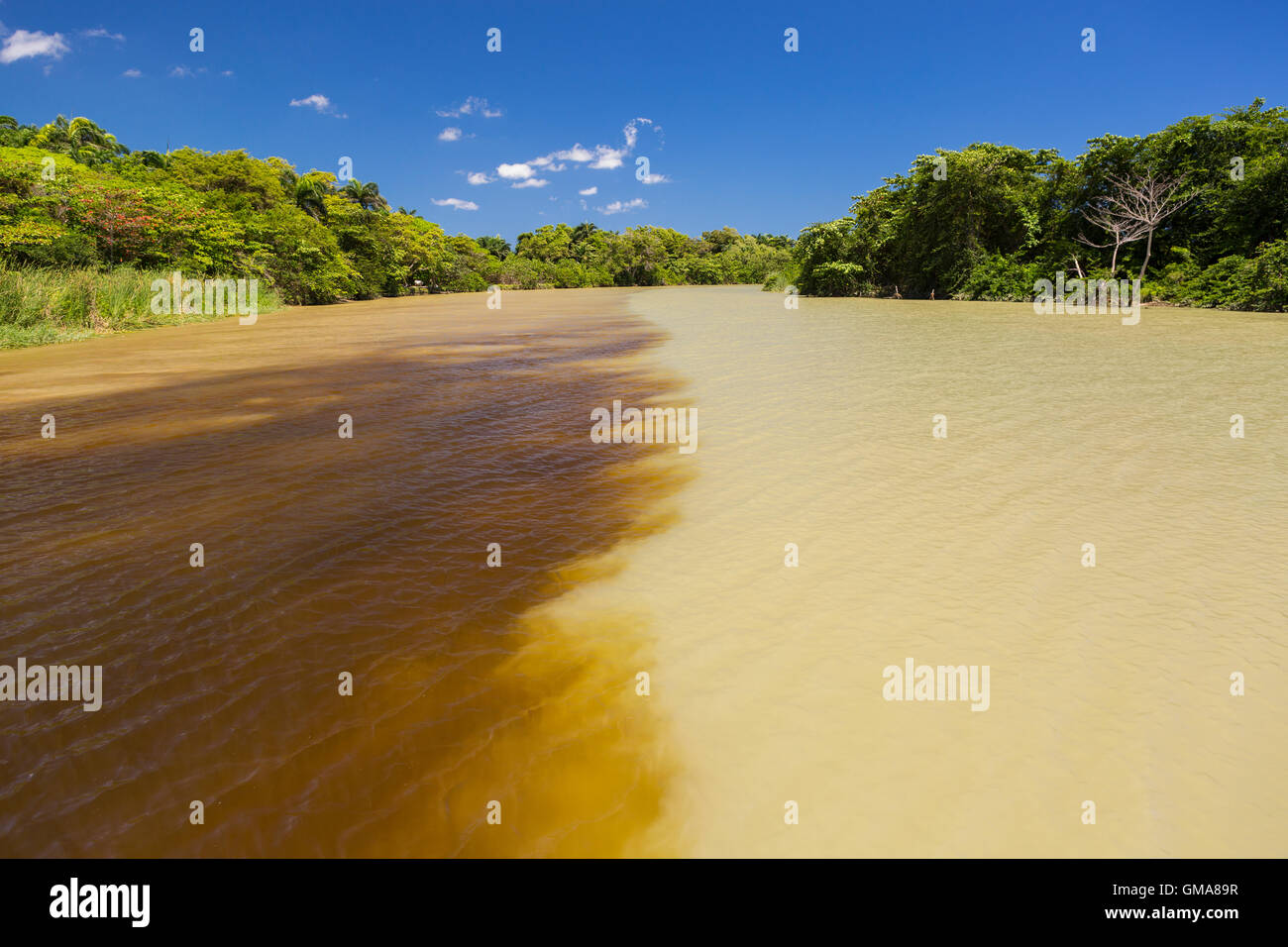 DOMINICAN REPUBLIC - Silt colors water at fork in Yasica River Stock Photo