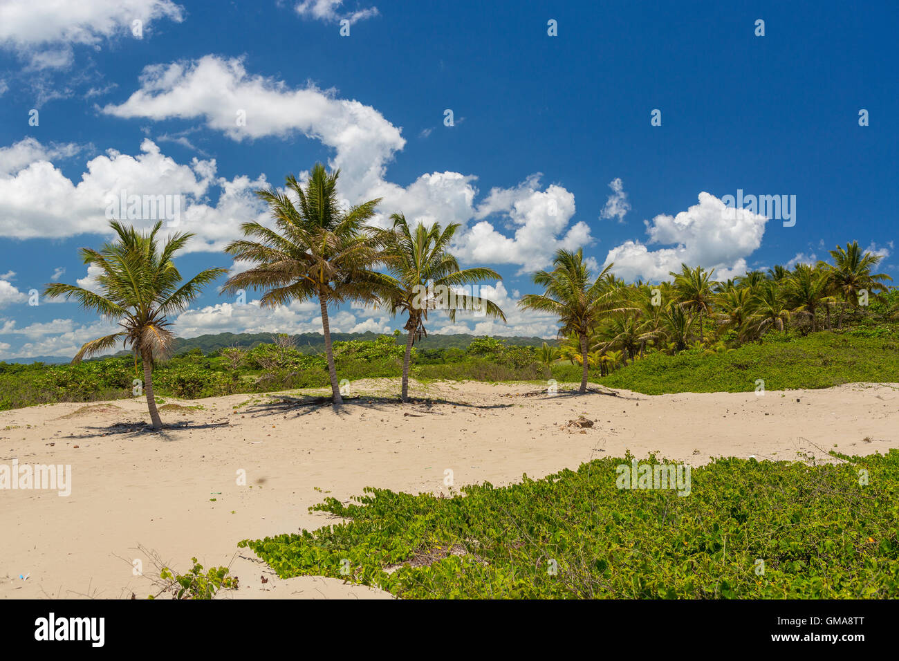 DOMINICAN REPUBLIC - Beach landscape with palm trees at mouth of Yasica River, near Cabarete. Stock Photo