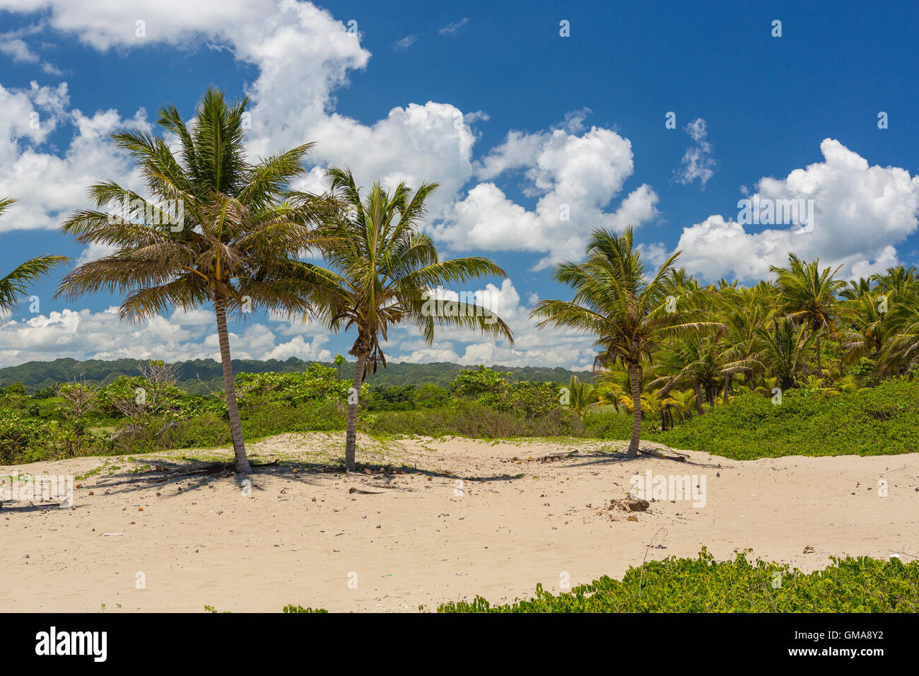DOMINICAN REPUBLIC - Beach landscape with palm trees at mouth of Yasica River, near Cabarete. Stock Photo