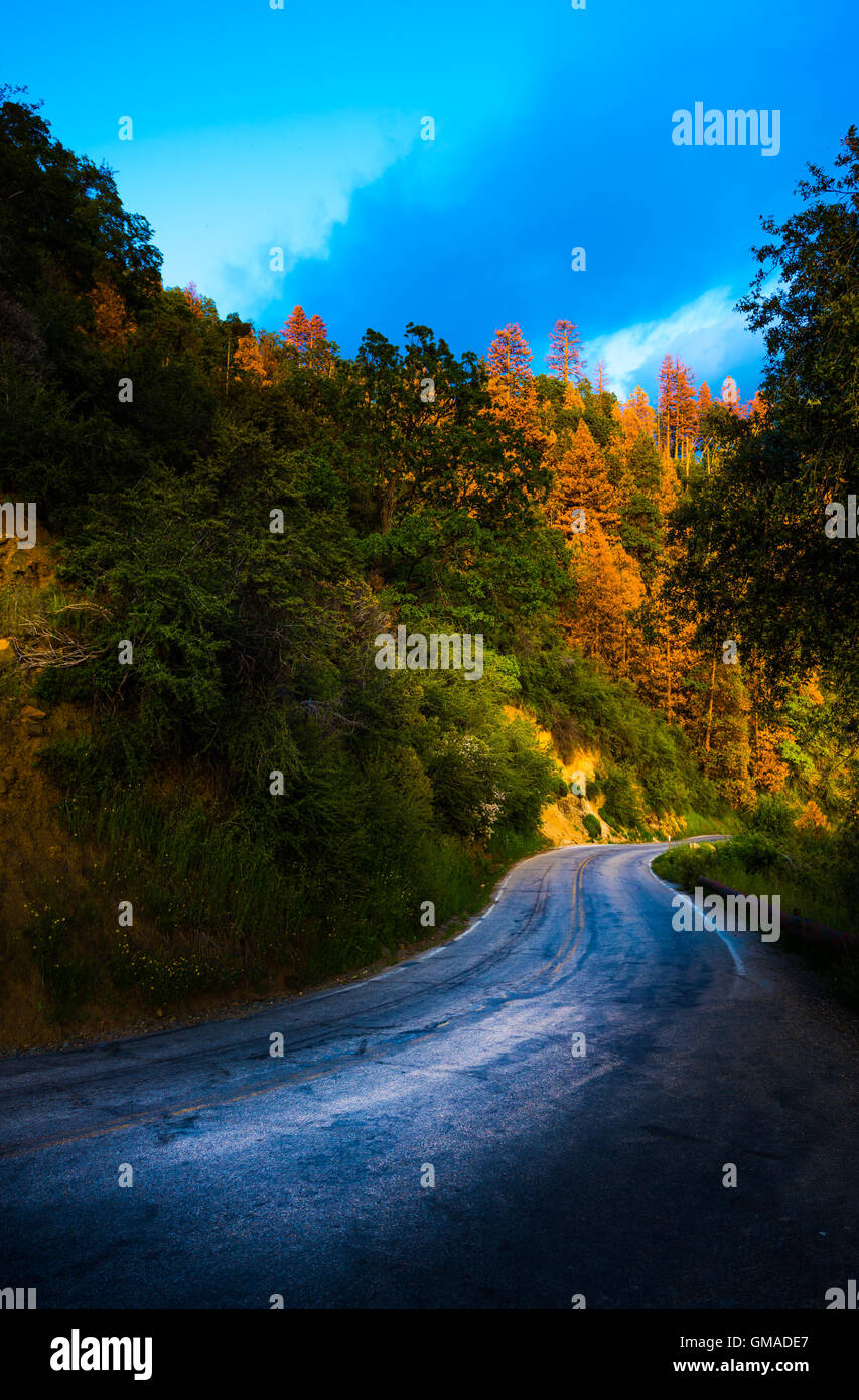 Generals Highway Sequoia National Park California USA Stock Photo Alamy