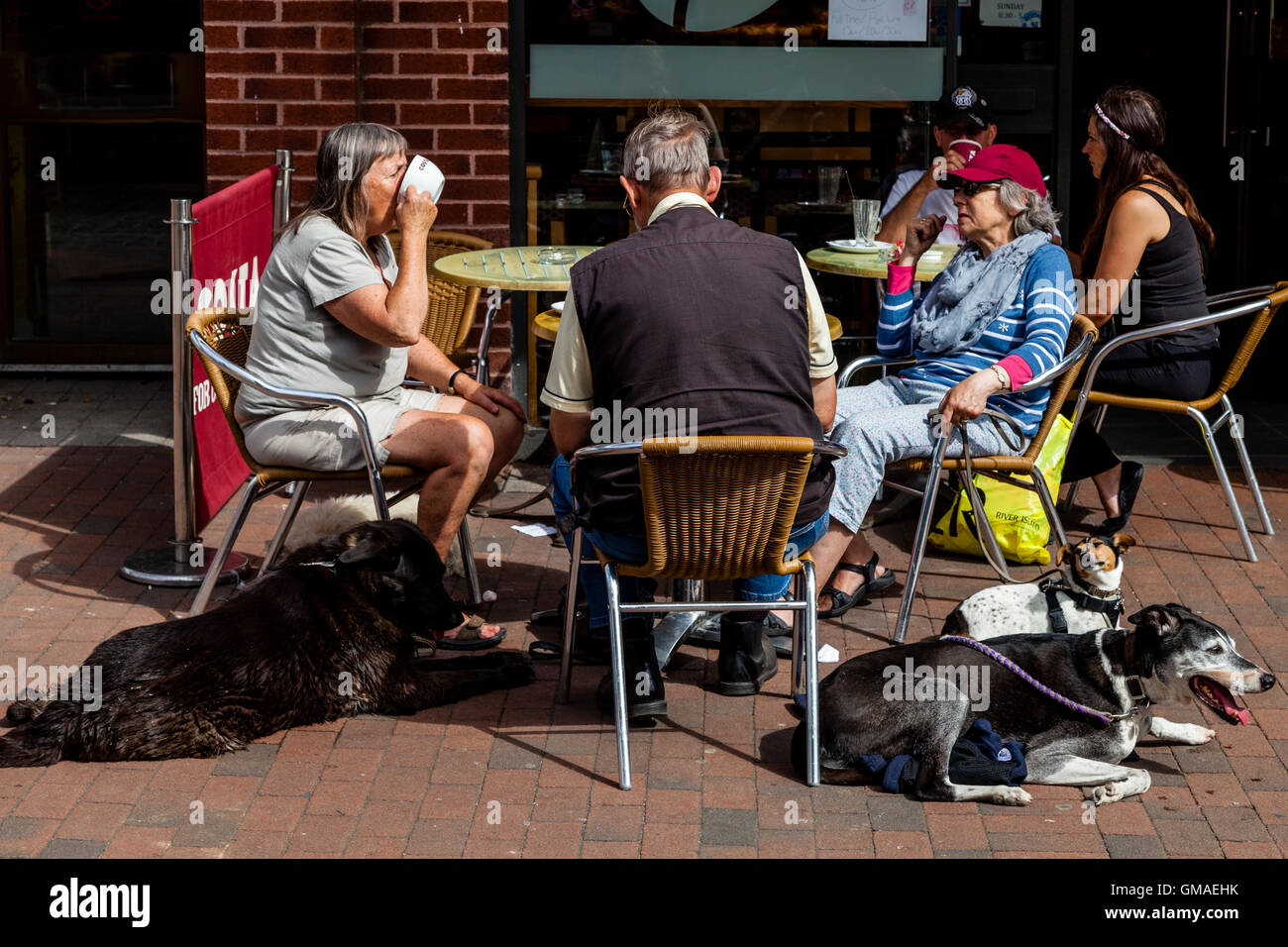 People and Their Pets Outside A Cafe In Lewes High Street, Lewes