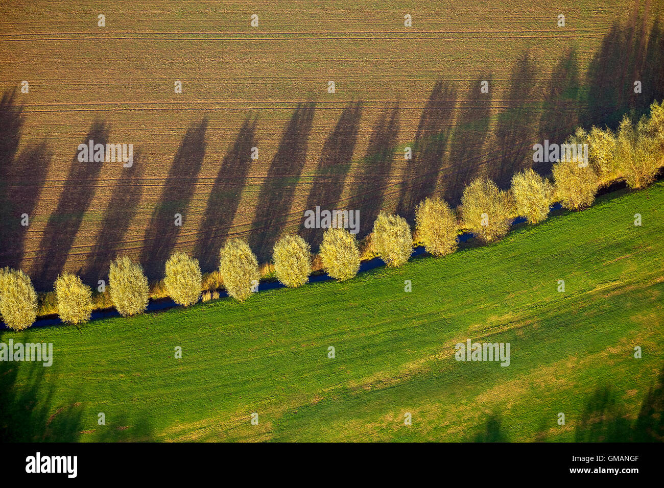 Aerial image, tree line with shadow with autumn leaves, stream, field, meadow, pasture, aerial photo of Duisburg,, Ruhr area, Stock Photo