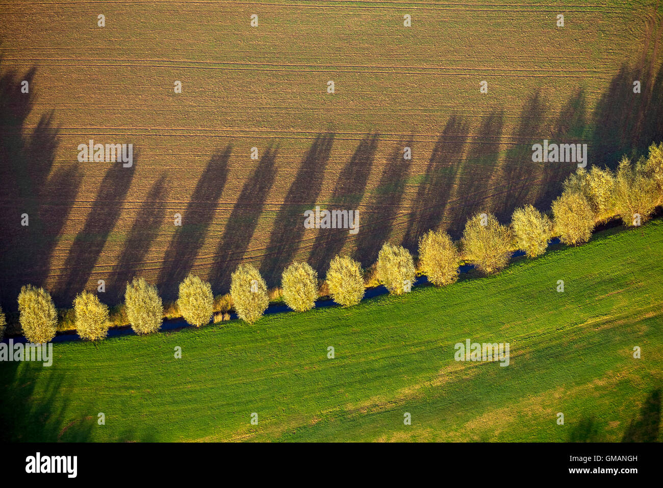 Aerial image, tree line with shadow with autumn leaves, stream, field, meadow, pasture, aerial photo of Duisburg,, Ruhr area, Stock Photo