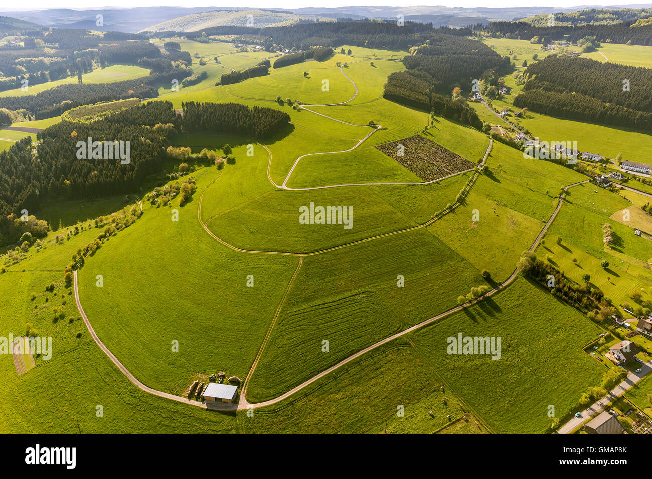 Aerial view, Cyril surfaces, hills, paths aligned isohypses, Wunderthausen, Bad Berleburg, Aerial view of Wittgenstein, Stock Photo
