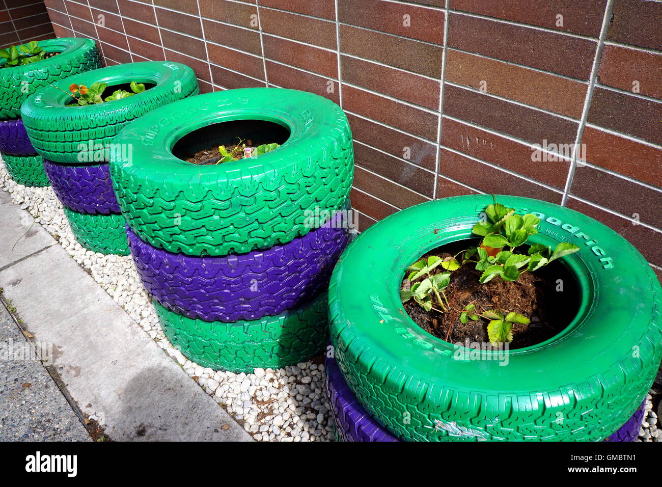 Stacks of scrap tires being used as planters, Anchorage, Alaska Stock