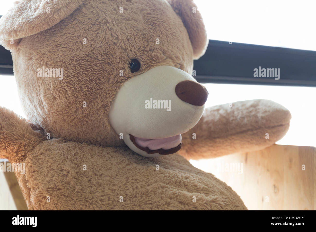 smiling big bear doll toy beside window Stock Photo