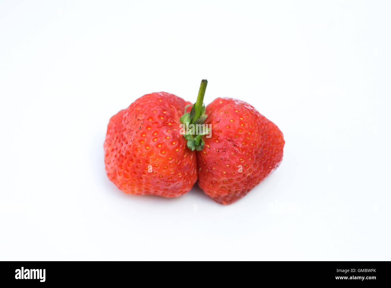 Fragaria. A misshapen strawberry. Stock Photo
