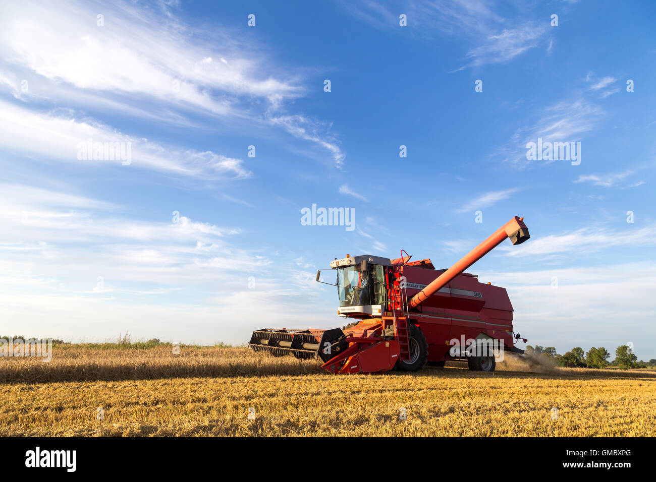 Ramlose, Denmark - August 24, 2016:  A combine harvester at work on a field Stock Photo