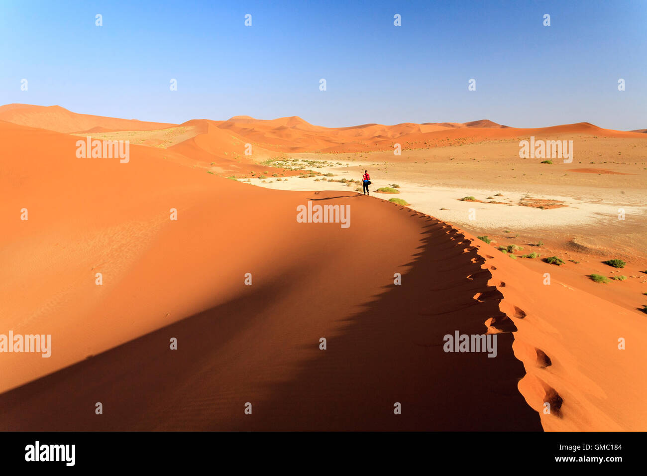 Walking on deadvlei hi-res stock photography and images - Alamy