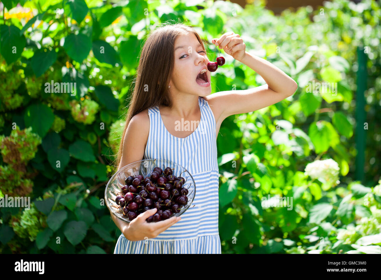 Beautiful brunette little girl holding a bowl of cherries in the garden ...