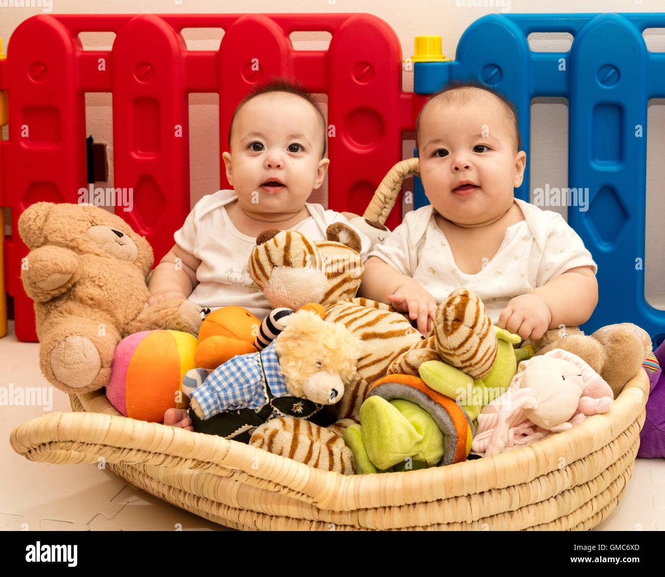 two happy twin babies in basket of toys in playpen Stock Photo