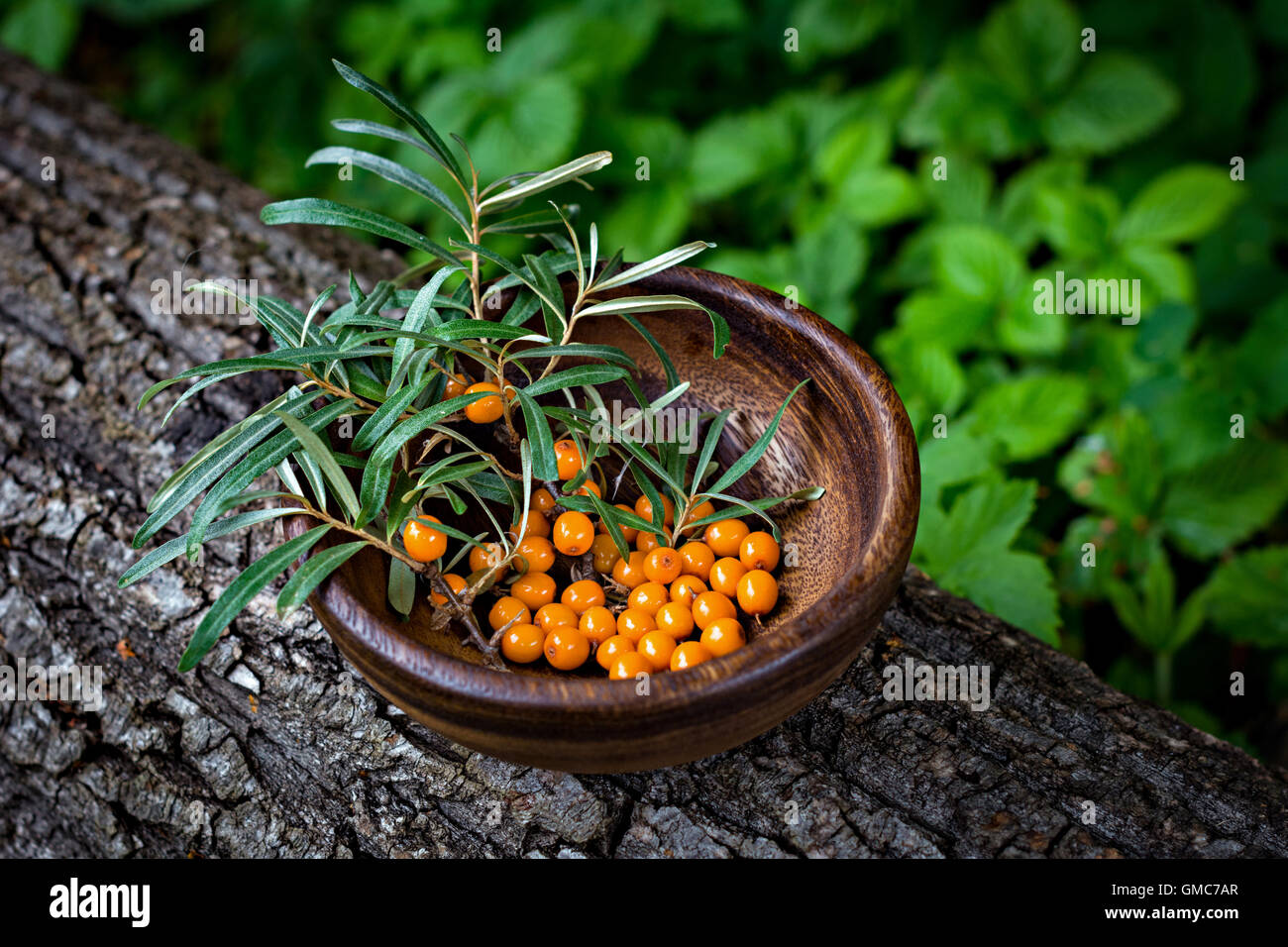Seabuckthorn berries in a wooden bowl Stock Photo