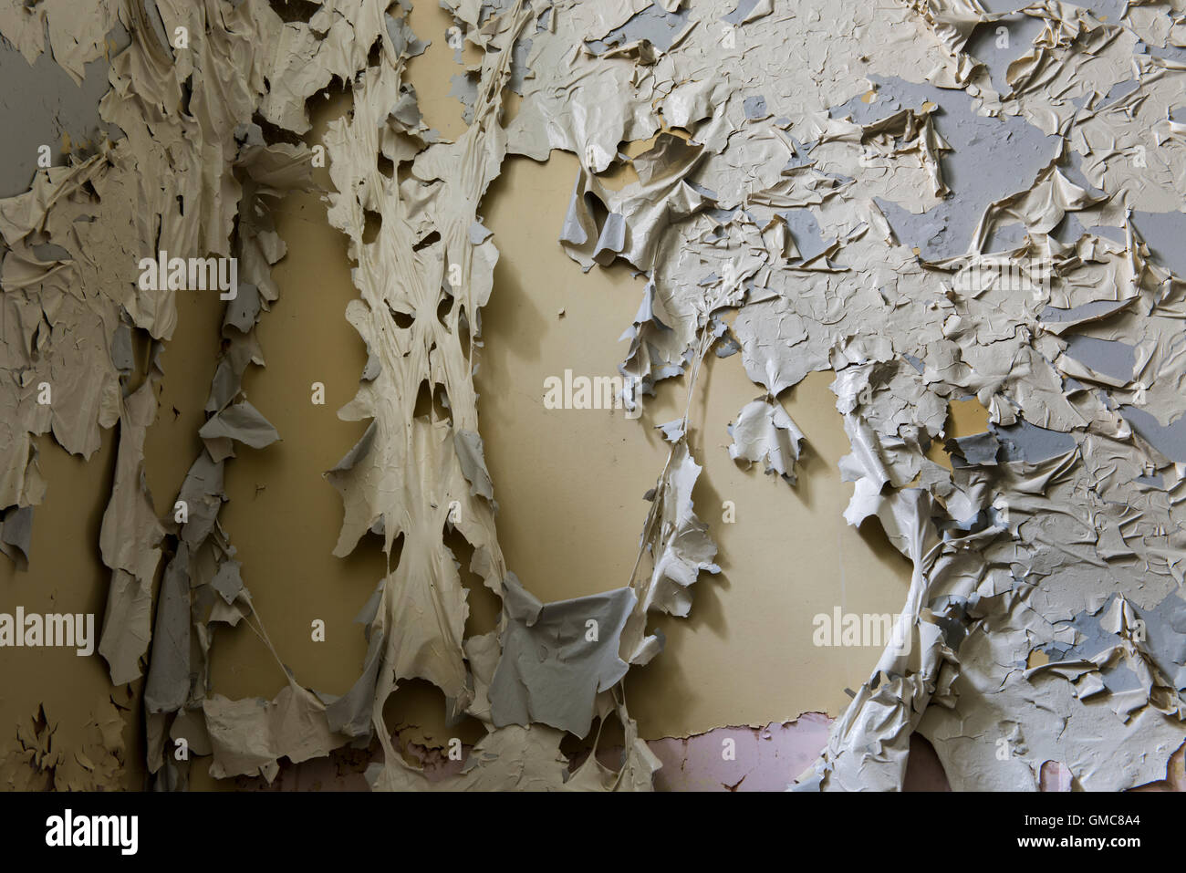 Flaky paint which has created a face within the decaying pattern at