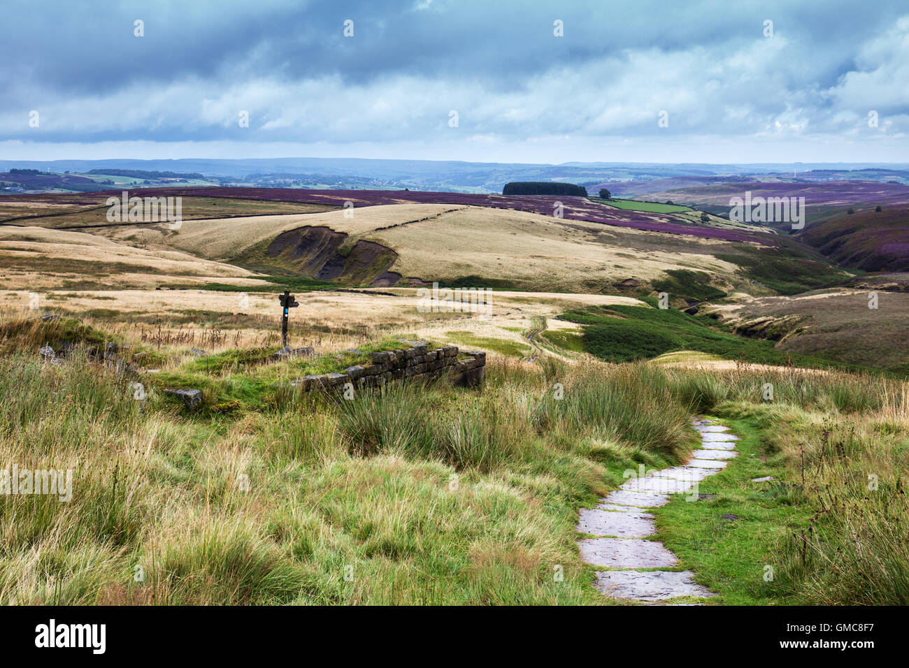 North Yorkshire moors, footpath, Stock Photo