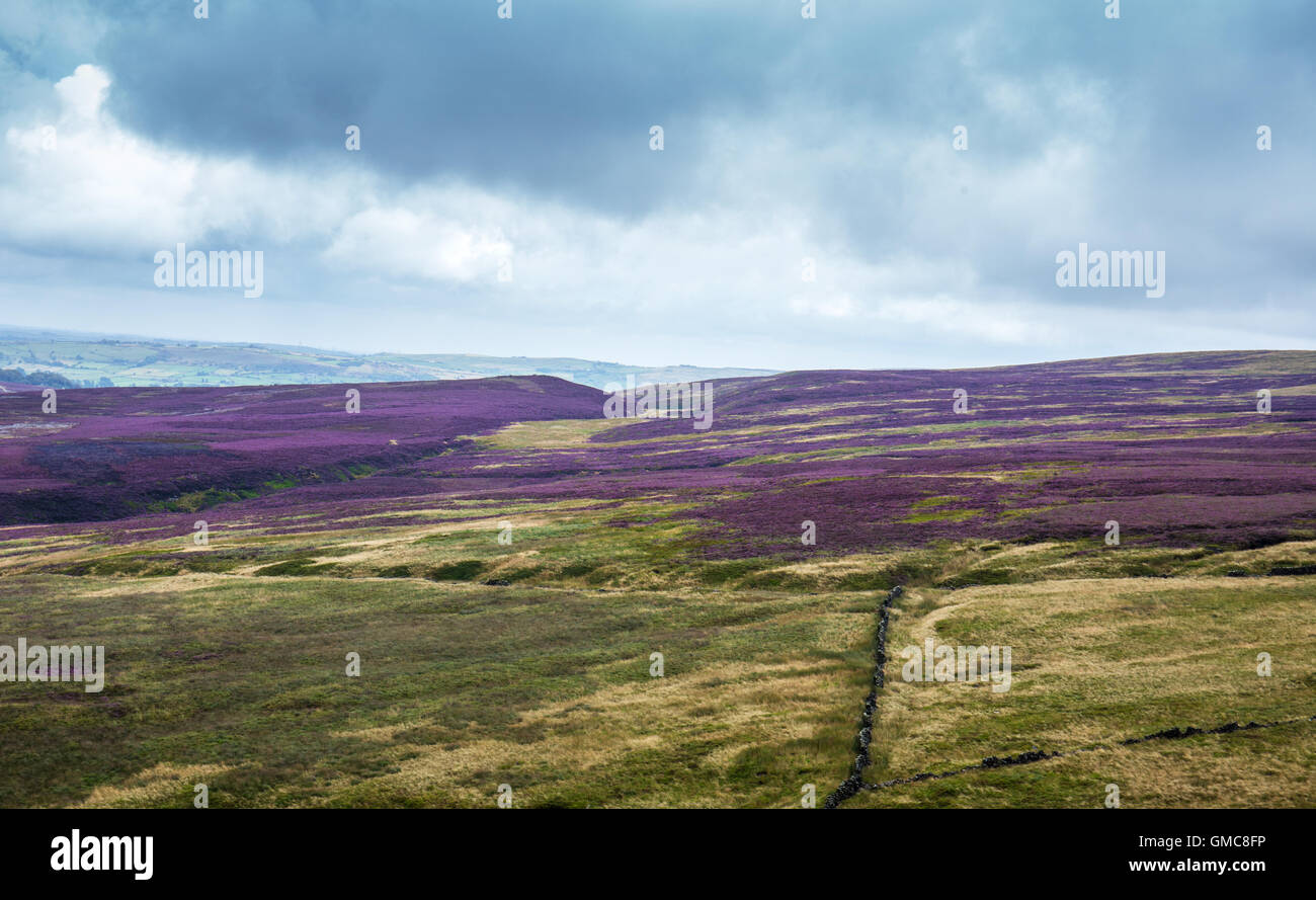 North Yorkshire moors, UK, England Stock Photo