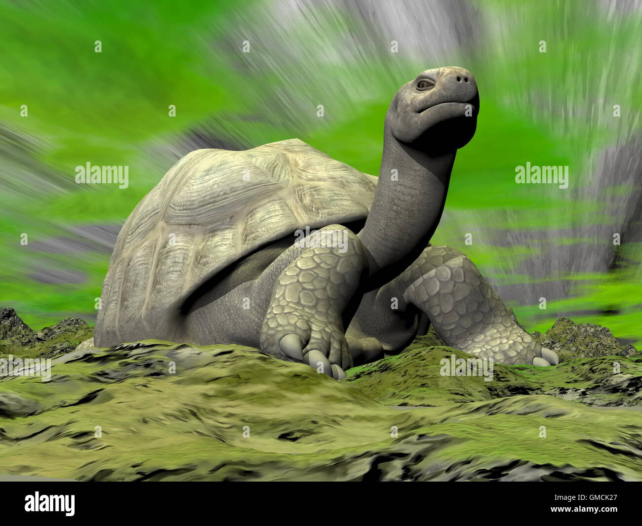 Galapagos tortoise illustration hi-res stock photography and images - Alamy