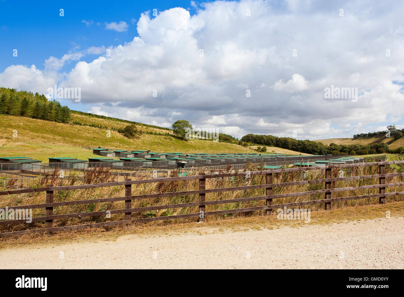 Game bird rearing pens on the grassy hillsides of the Yorkshire wolds in summertime. Stock Photo