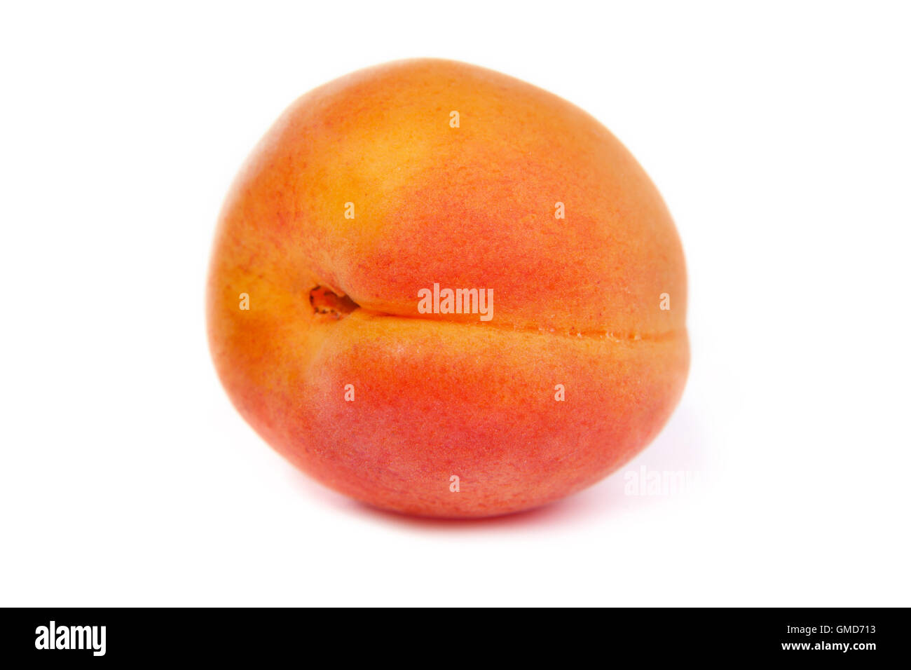 Apricot on a white background Stock Photo - Alamy