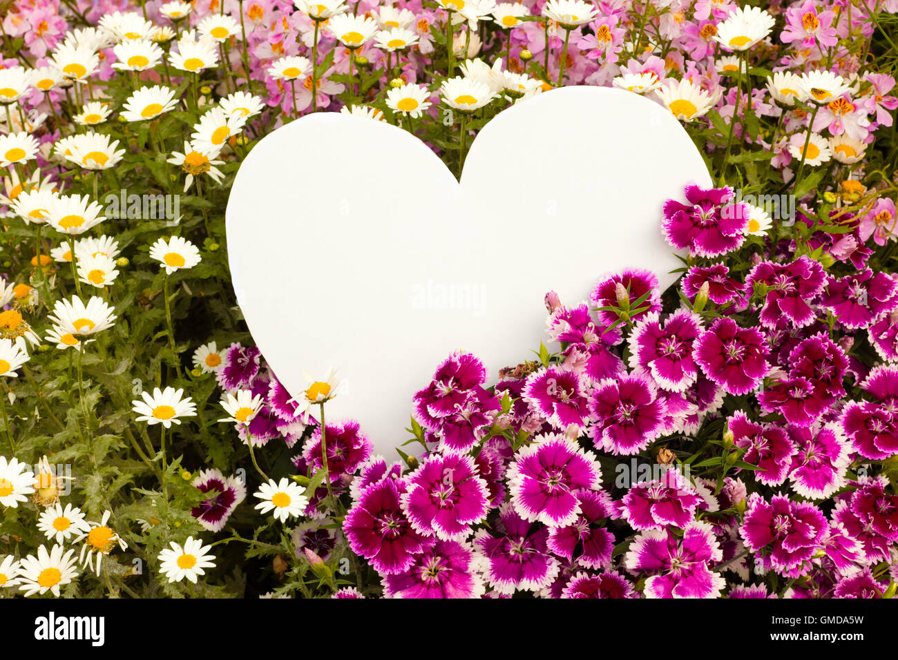 Flower greetings from heart Stock Photo