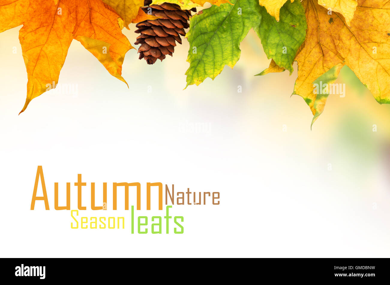 Beautiful autumn background with maple leaves Stock Photo - Alamy