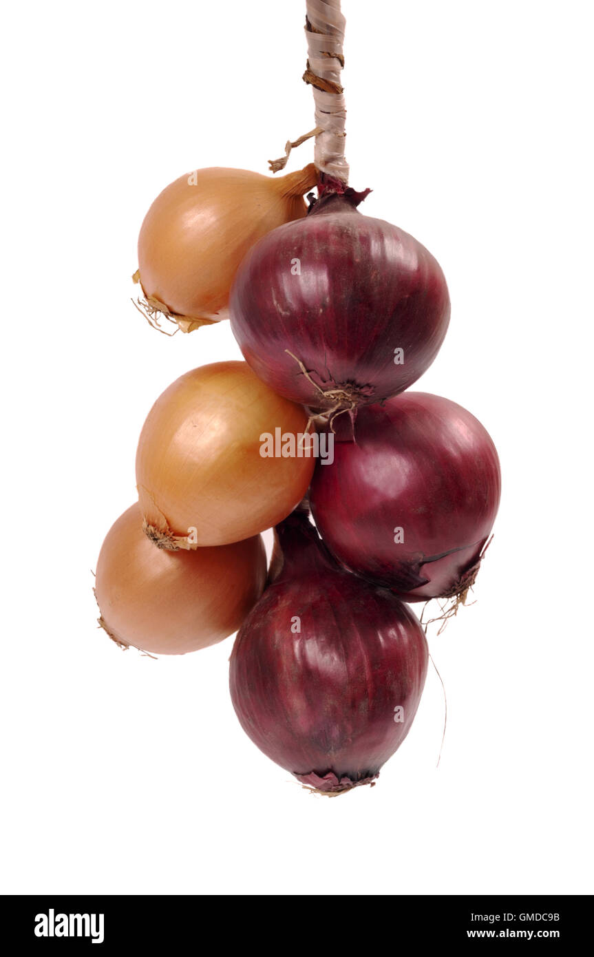 Bundle of bulbs hi-res stock photography and images - Alamy
