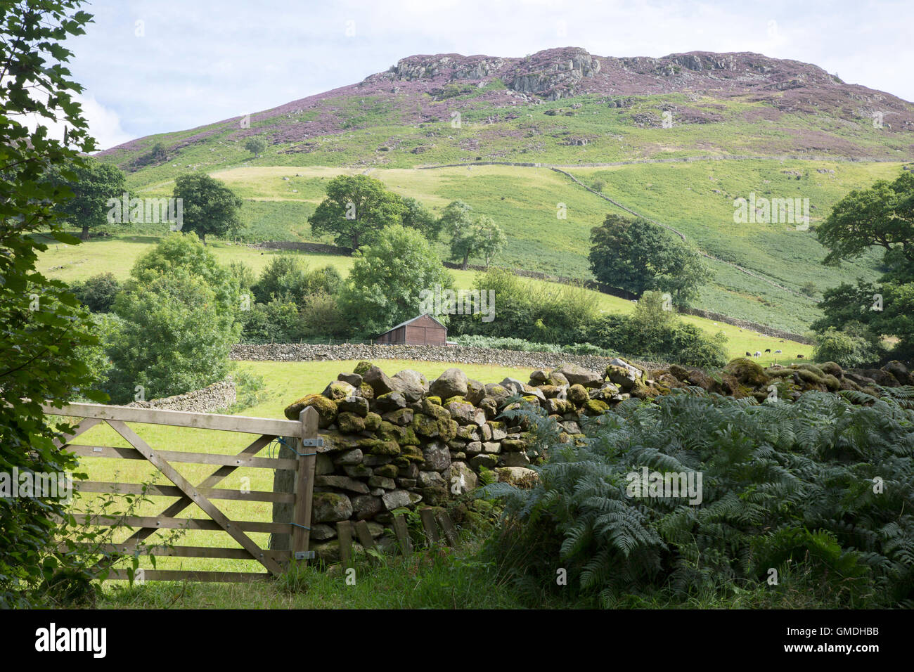 Hill behind Ashness Bridge; Keswick; Lake District; England; UK Stock