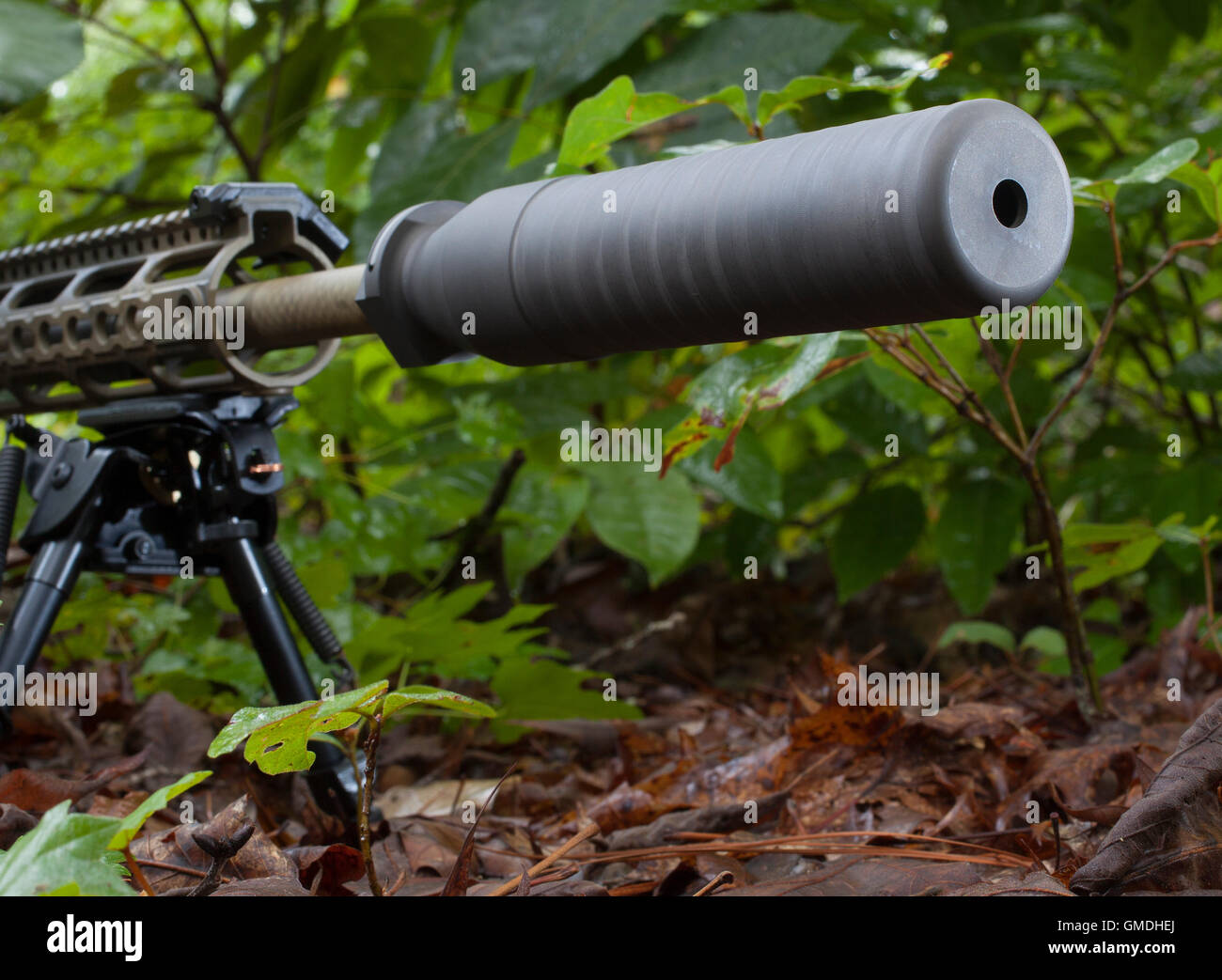 Suppressor mounted on a rifle that is in the woods Stock Photo - Alamy