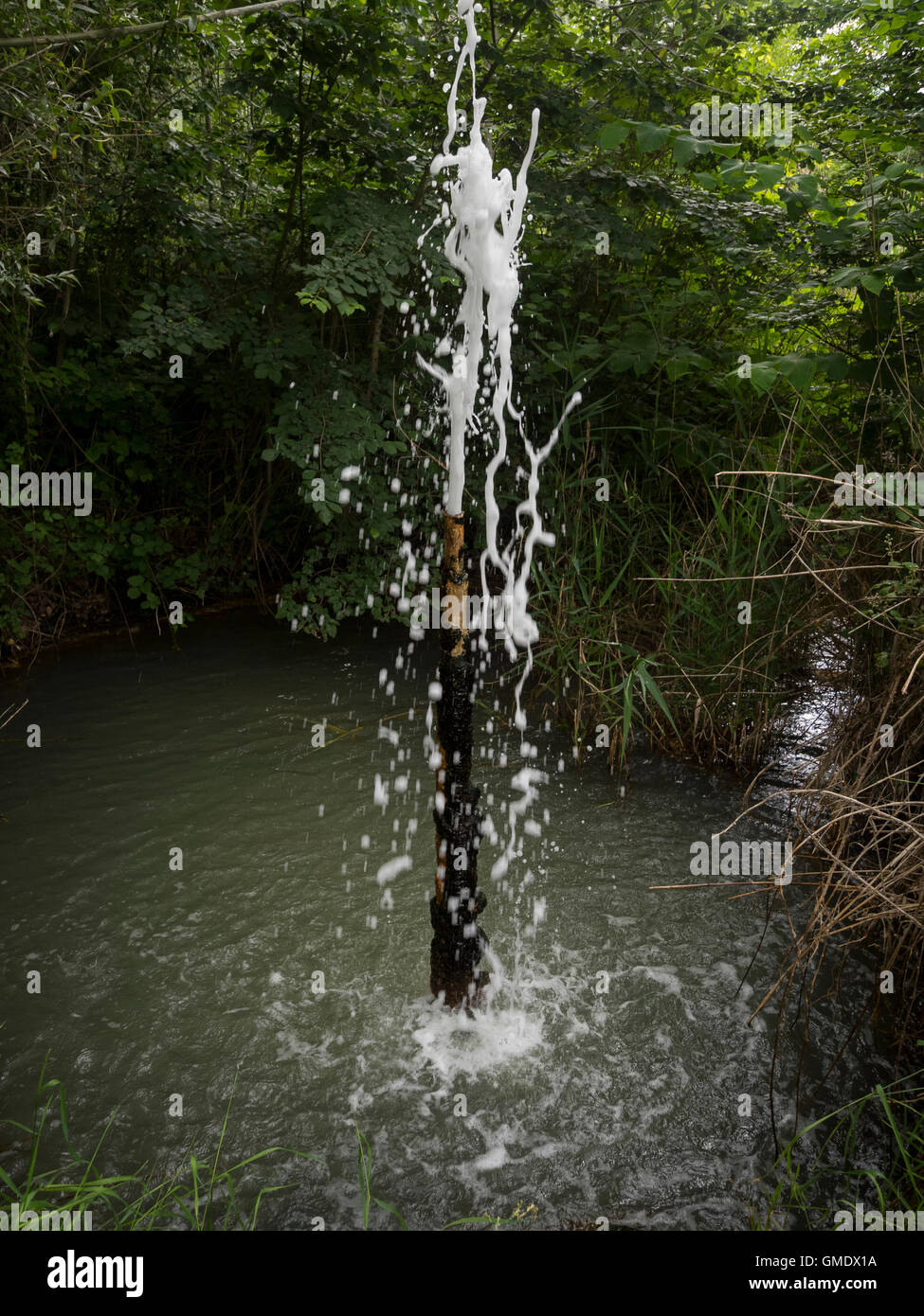 Gushing Spring High Resolution Stock Photography and Images - Alamy