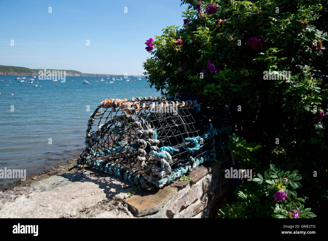 Dale , Wales, August 2016. A lobster pot on a wall overlooking the harbour Stock Photo