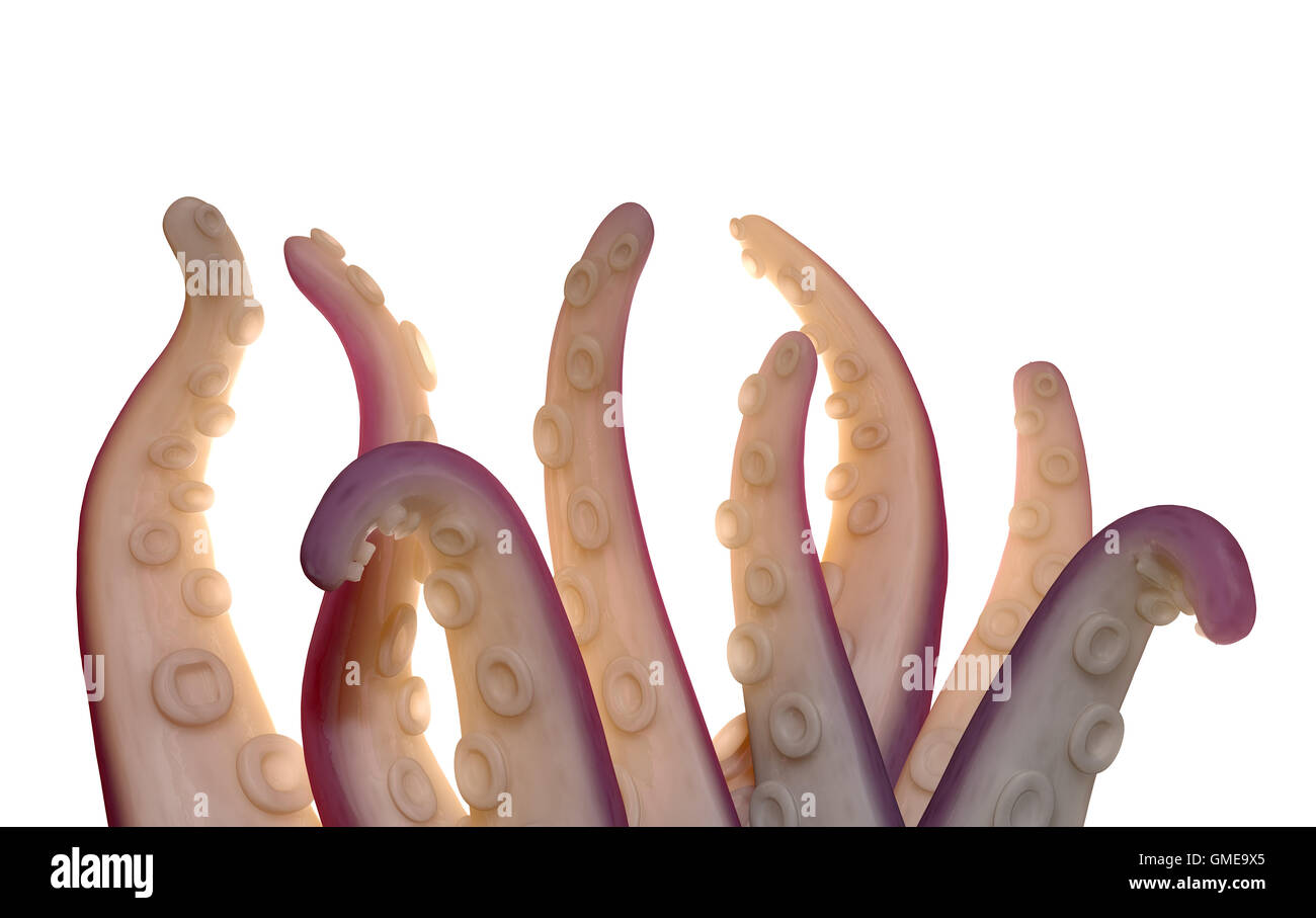 A 3D render of a childish nightmare creation of an octopus like beast with tentacles reaching skyward on an isolated white studi Stock Photo