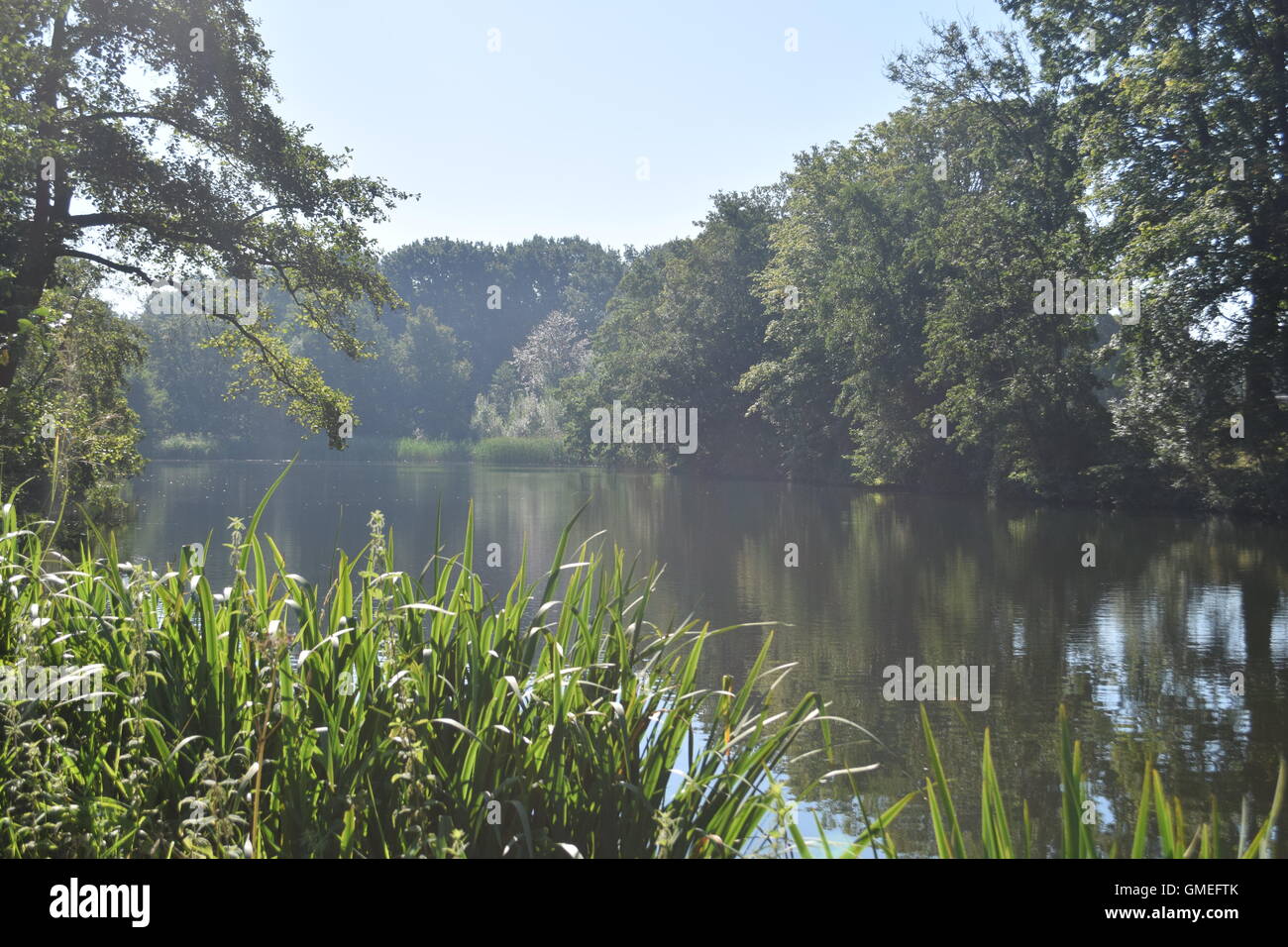 heat mist from the river Stock Photo - Alamy