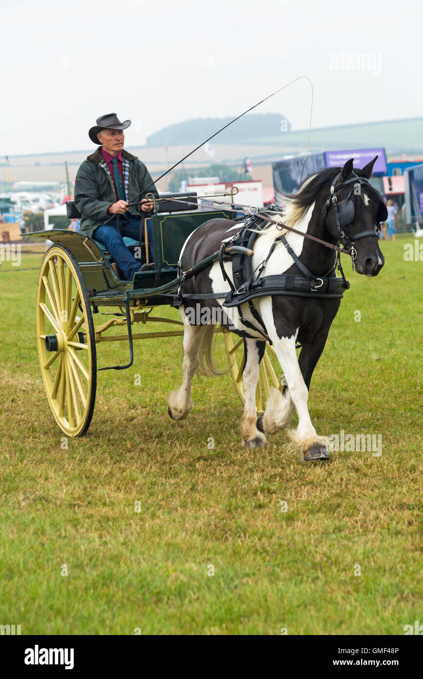 Tarrant Hinton, Blandford, Dorset, UK. 25 August, 2016. Visitors flock to Tarrant Hinton for the first day of the Great Dorset Steam Fair. The event runs until Monday and is expected to attract 200,000 visitors with the showground covering more than 600 acres. Credit:  Carolyn Jenkins/Alamy Live News Stock Photo