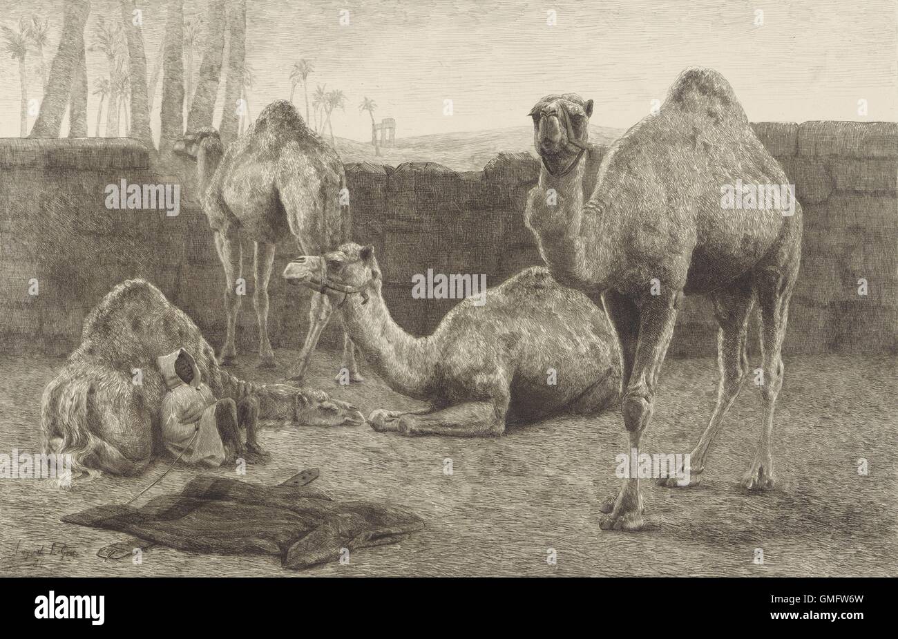 Camels, By August Le Gras, 1886, Print, Etching On Paper. A Young Camel ...