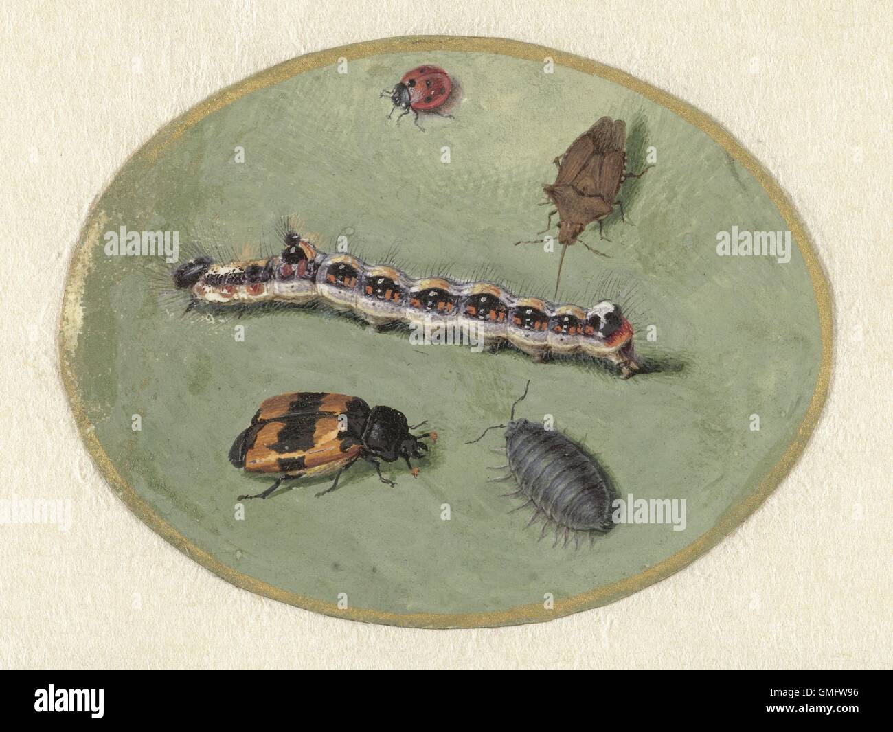 Ladybird, Caterpillar, Sow Bug and Two Turrets, by Jan Augustin van der Goes, 1690-1700. (BSLOC 2016 1 254) Stock Photo