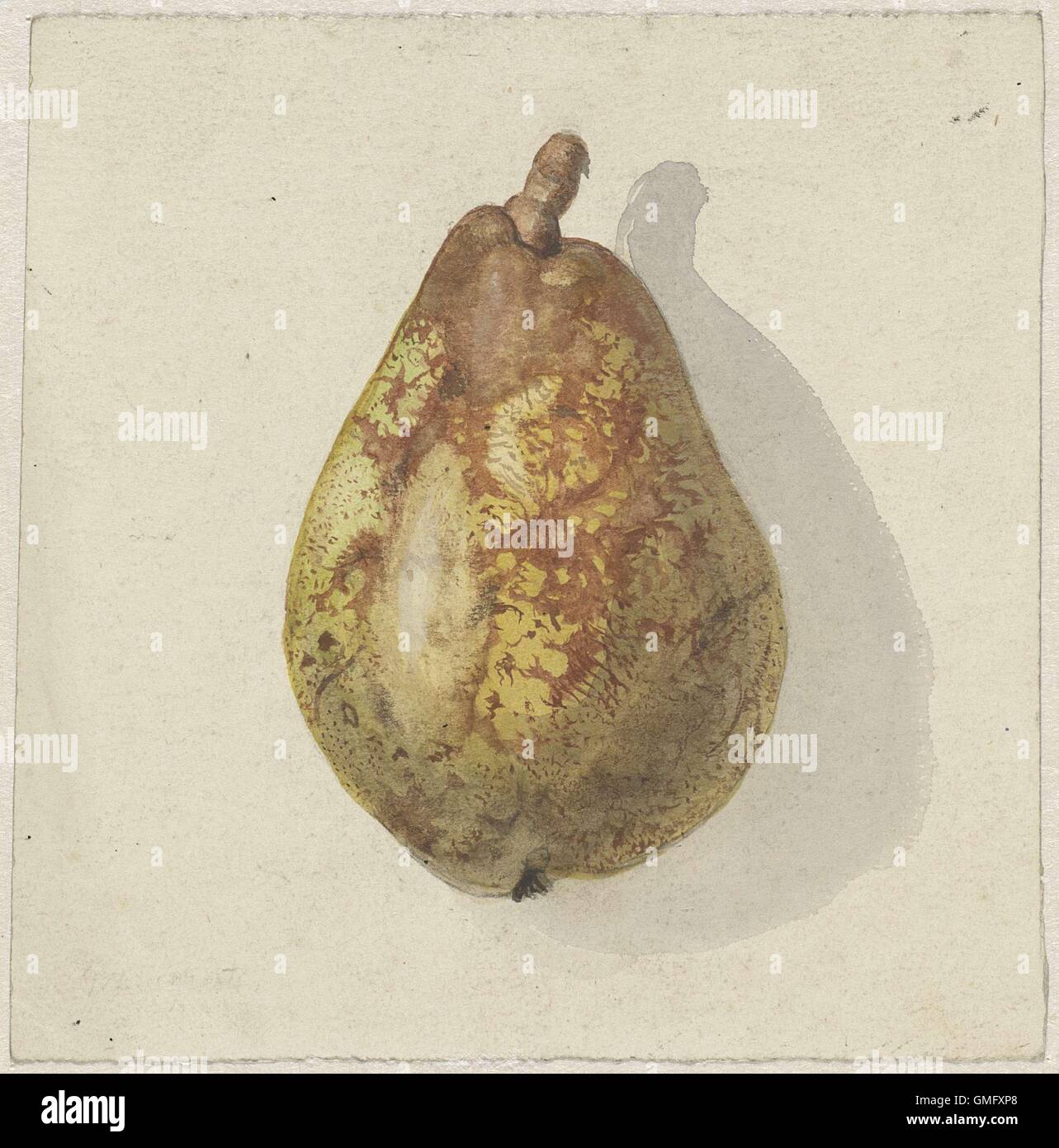Pear, by Gerardina Jacoba van de Sande Bakhuyzen, c.1850-80, Dutch watercolor painting (BSLOC 2016 2 279) Stock Photo