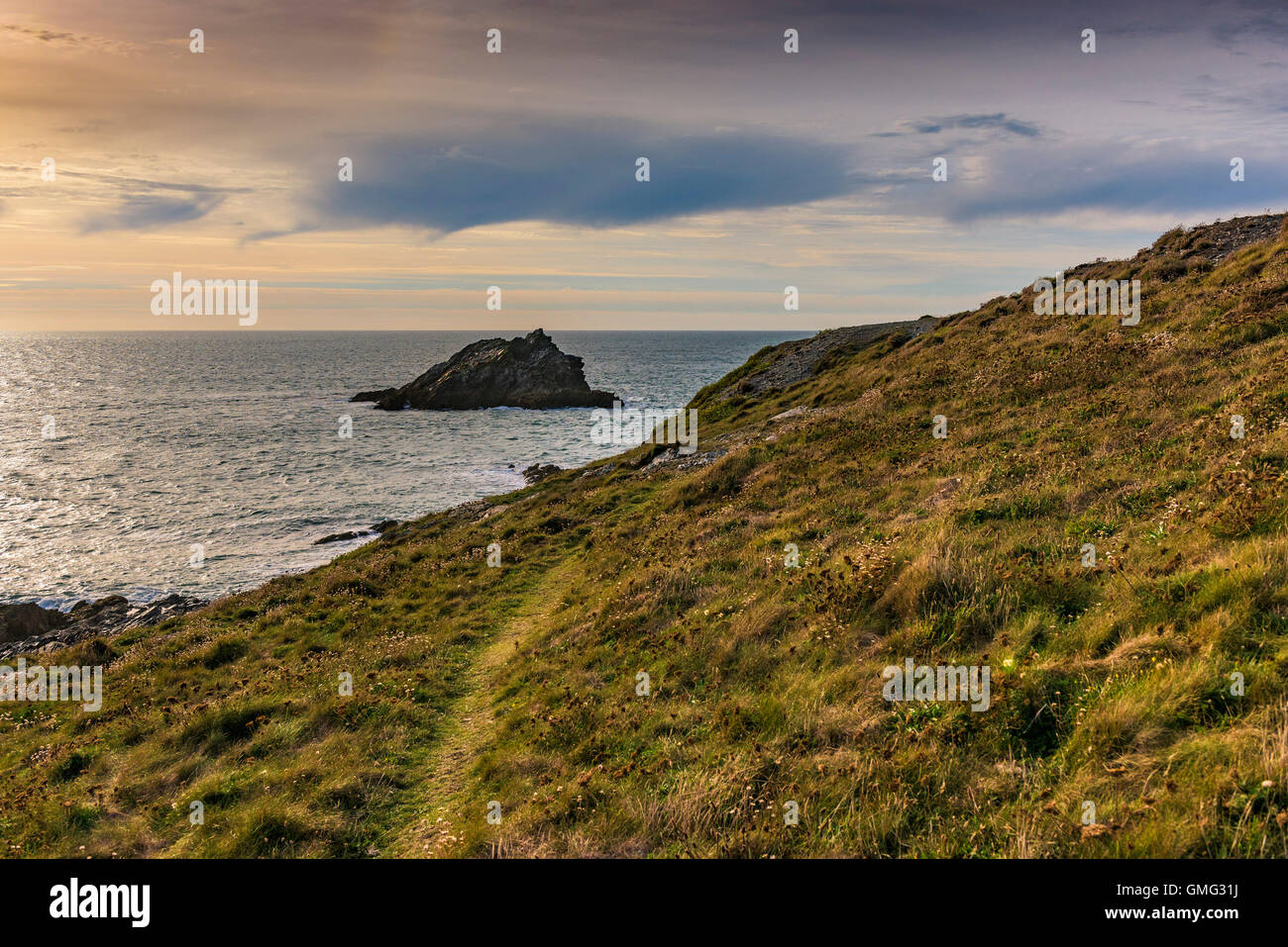 The Goose, a small rocky island off the coast of East Pentire in Newquay, Cornwall. Stock Photo