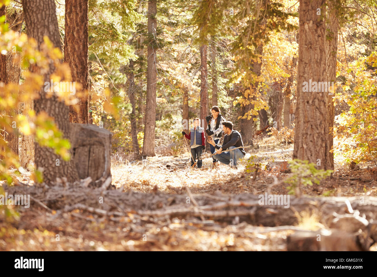 Father talking with his children in a forest Stock Photo - Alamy