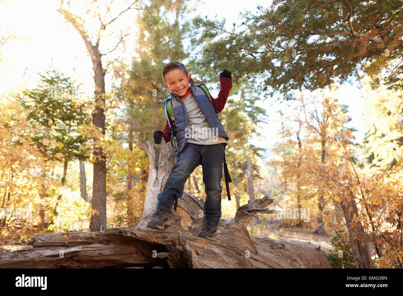 Boy in a forest looks to camera and walks along fallen tree Stock Photo ...
