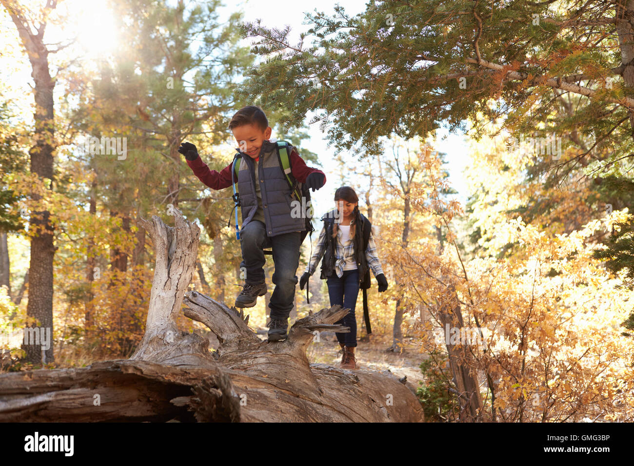 Brother and sister walking along a fallen tree in a forest Stock Photo ...