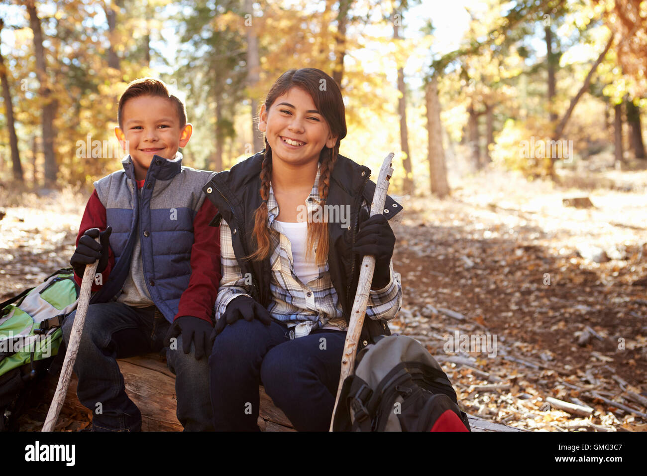 Brother and sister sitting on a fallen tree in a forest Stock Photo - Alamy