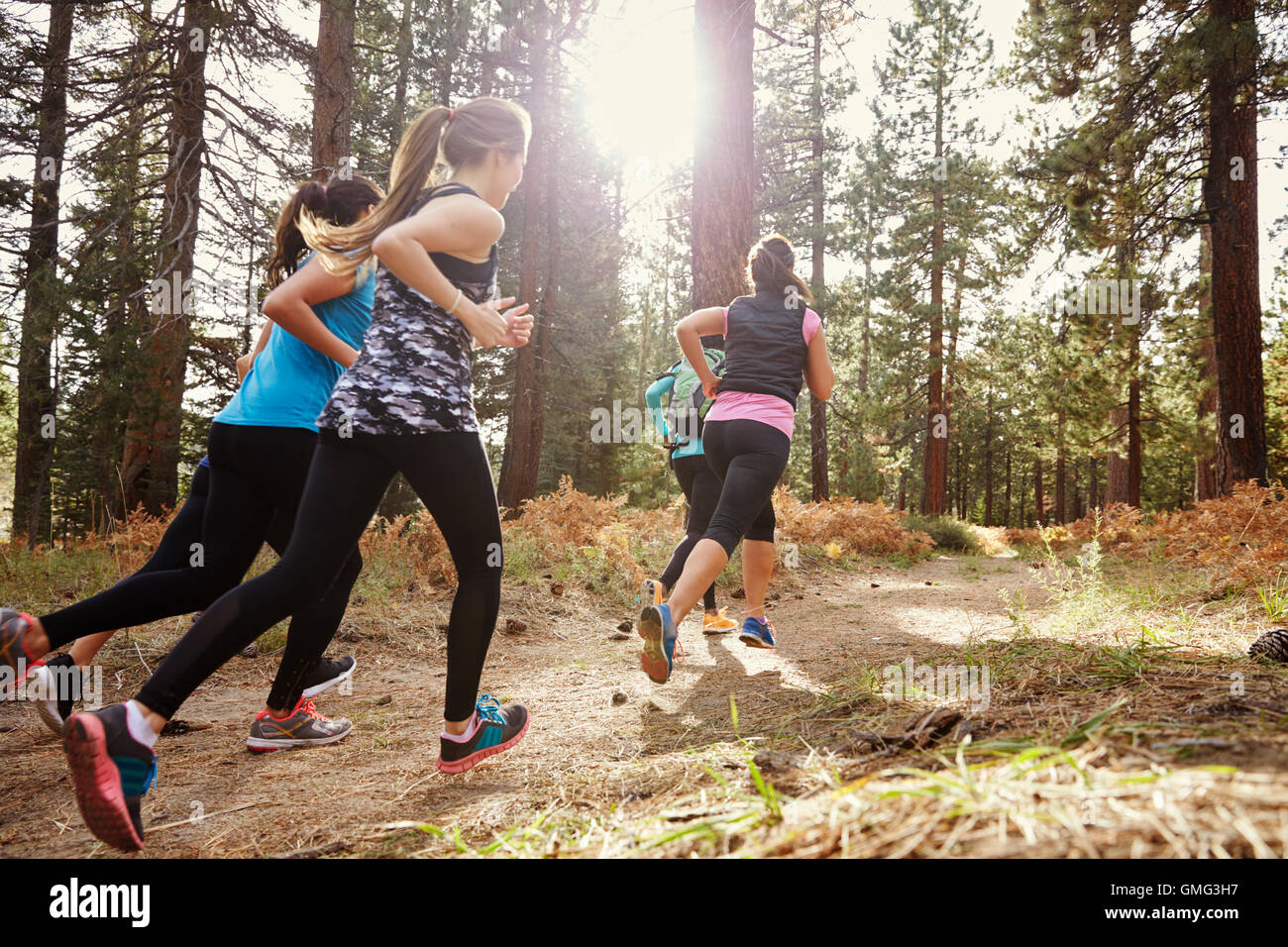 Group of young adult women running in a forest, back view Stock Photo