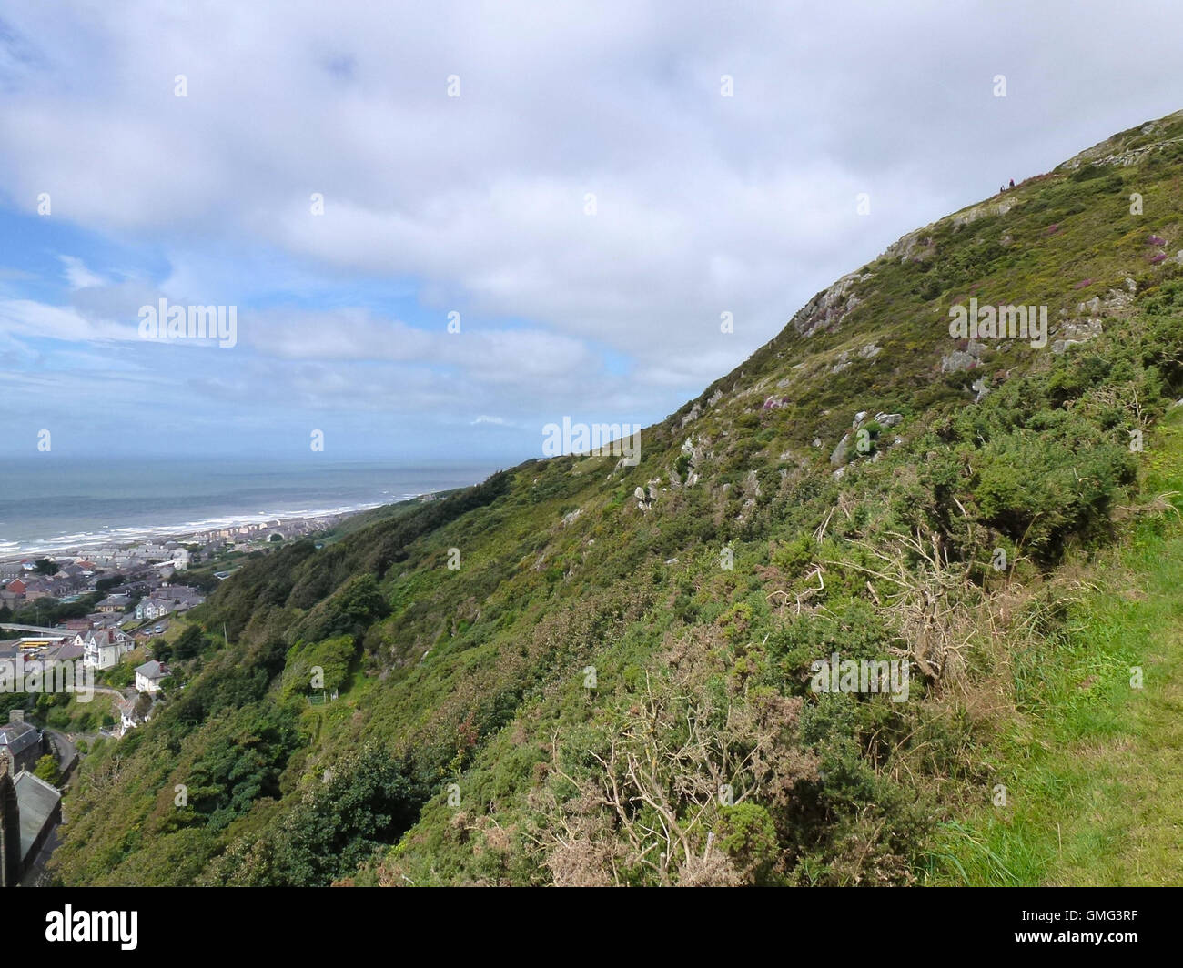 View of Barmouth old town and sea from hills behind, North Wales Stock