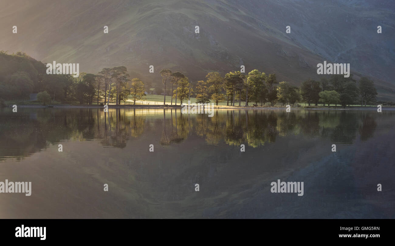 Early morning light and reflections of the Buttermere pines, Buttermere, English Lake District national park, UK Stock Photo