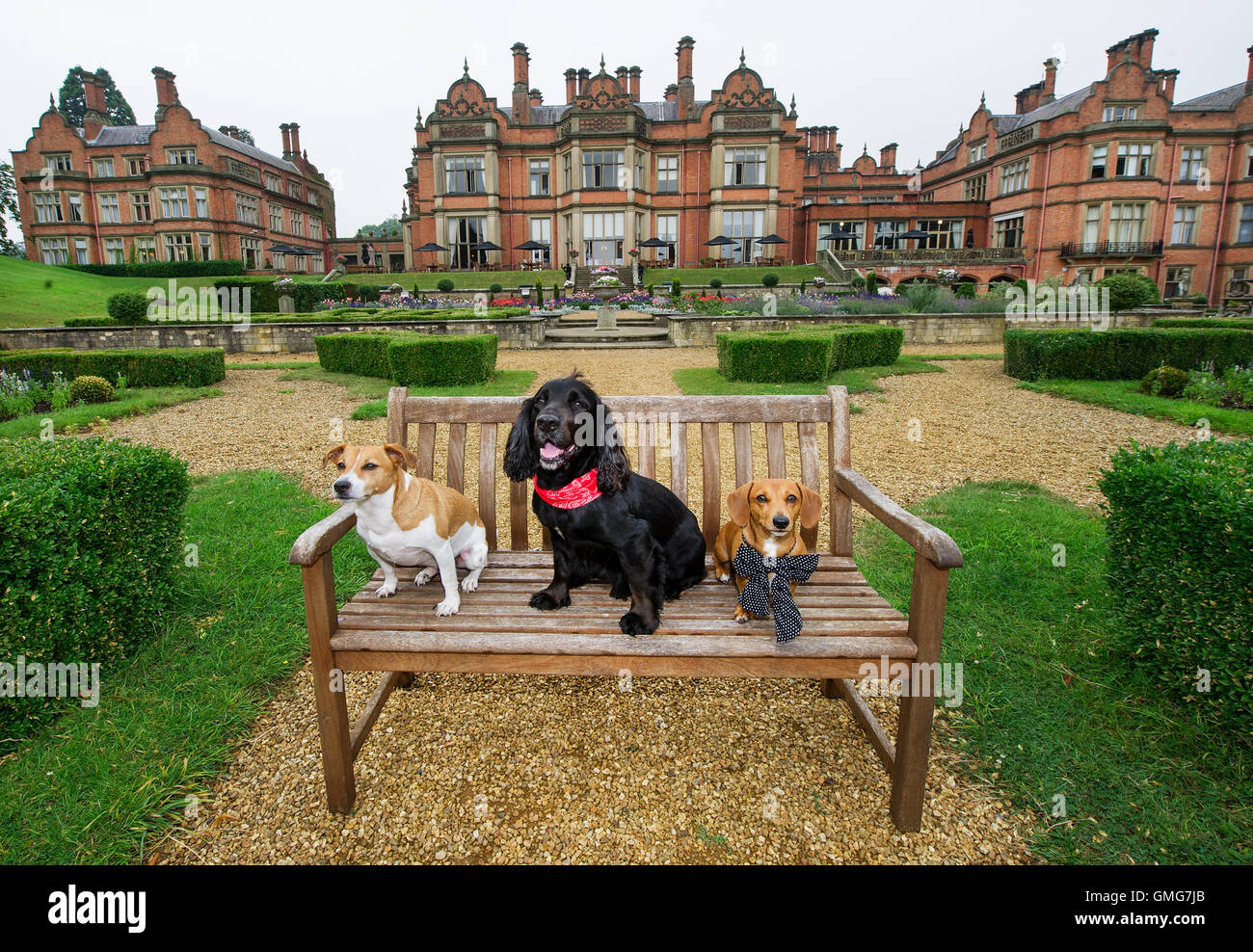 Hallmark Hotel The in Stratford upon Avon launches "Pawfect