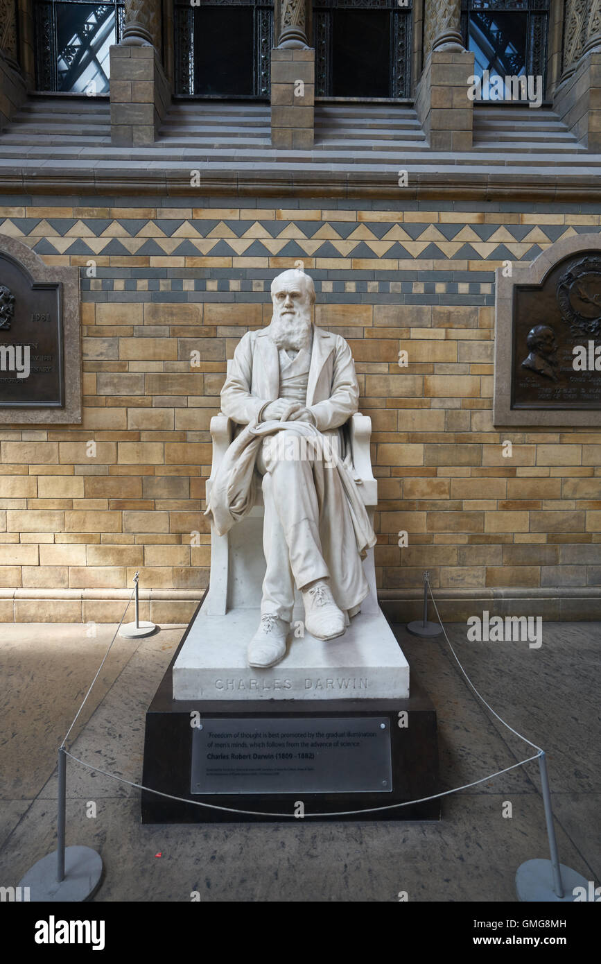 Charles Darwin Statue, Natural History Museum Stock Photo