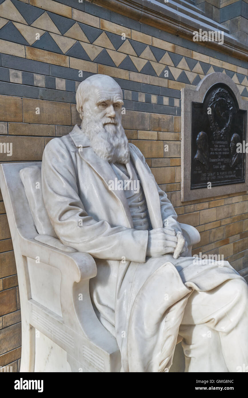 Charles Darwin Statue, Natural History Museum Stock Photo Alamy