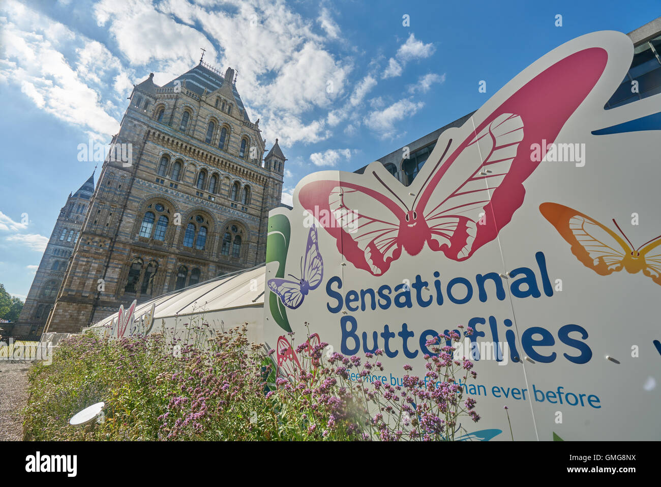 Butterfly Exhibition,  Natural History Museum, London Stock Photo