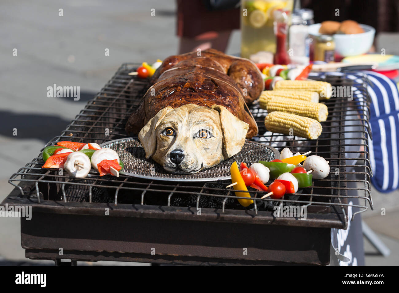 собачье мясо фото