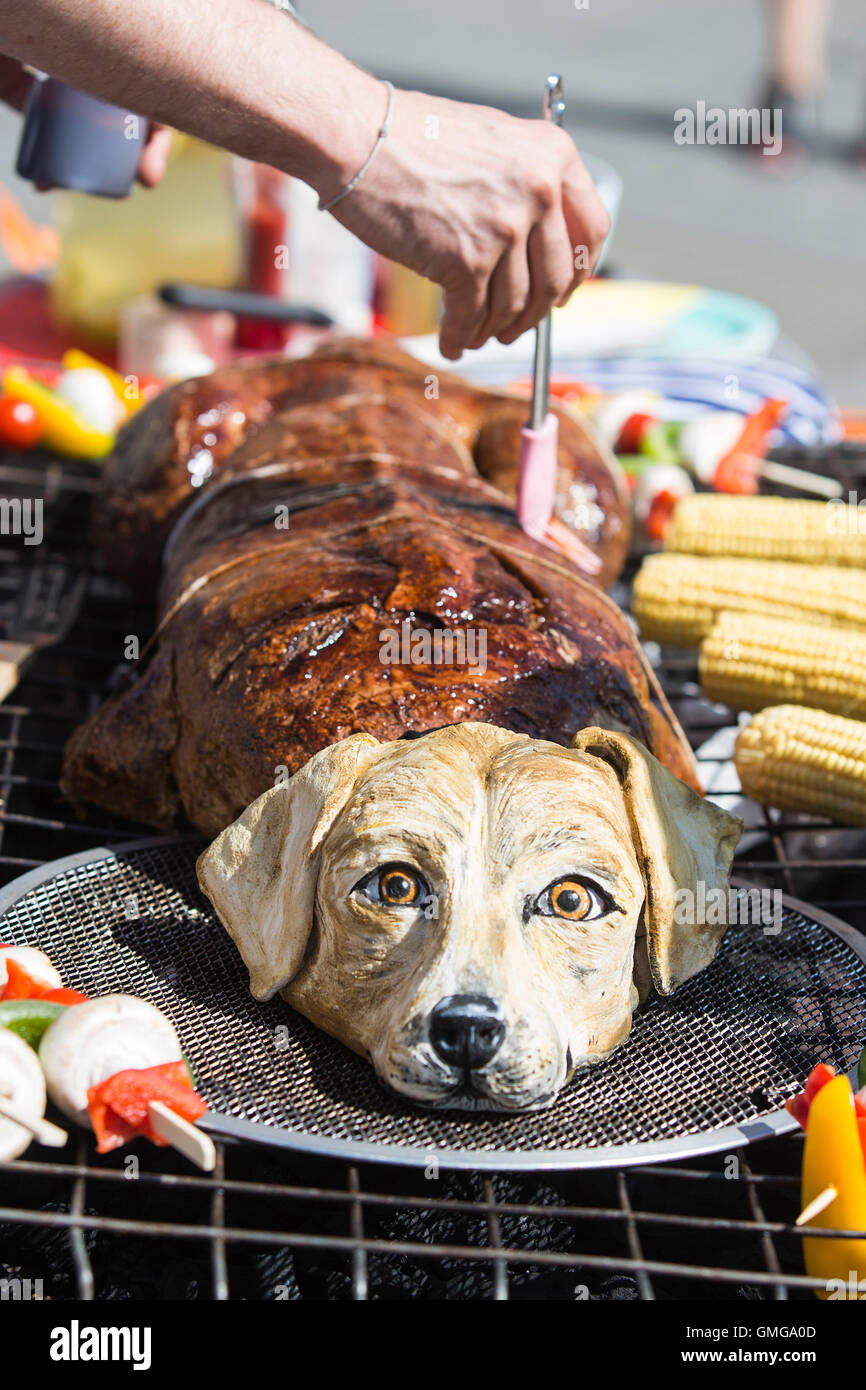 Can Dogs Be Vegan Peta